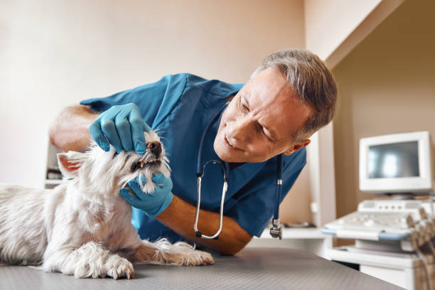 Best Emergency Tooth Extraction in York, AL